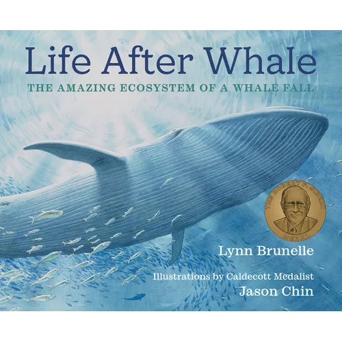 Life After Whale: The Amazing Ecosystem of a Whale Fall - Hardcover