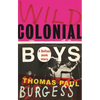 Wild Colonial Boys: A Belfast Punk Story - Paperback