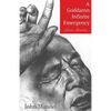 A Goddamn Infinite Emergency: Love Stories - Paperback