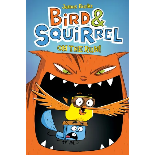 Bird & Squirrel on the Run!: A Graphic Novel (Bird & Squirrel #1) - Paperback