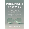 Pregnant at Work: Low-Wage Workers, Power, and Temporal Injustice - Paperback