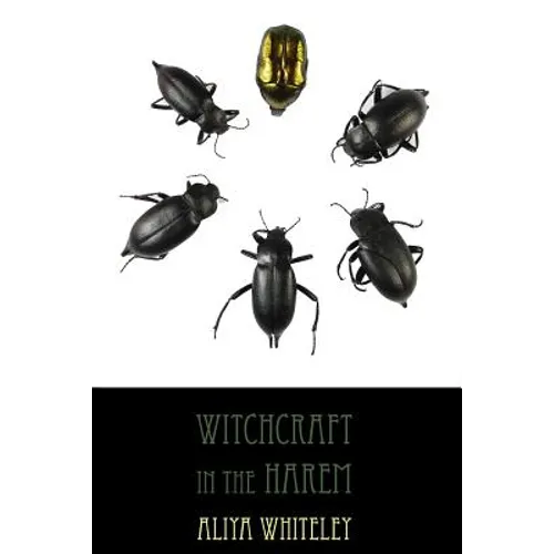 Witchcraft in the Harem - Paperback