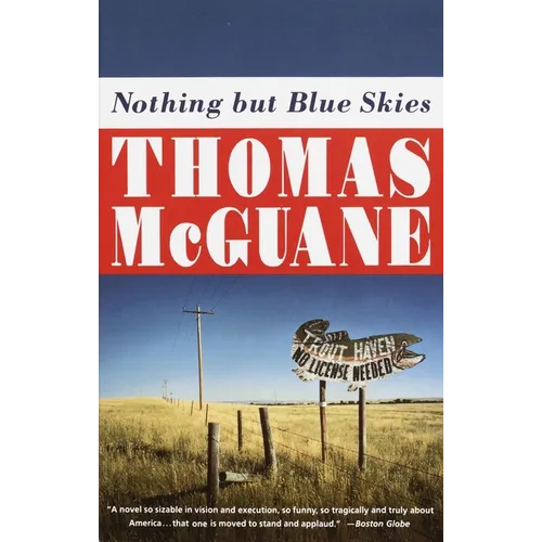 Nothing but Blue Skies - Paperback