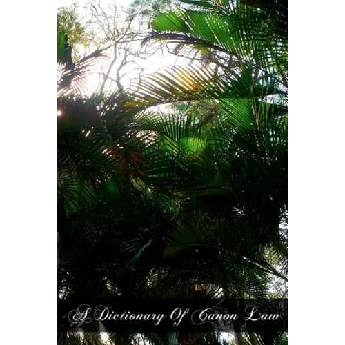 A Dictionary Of Canon Law - Paperback