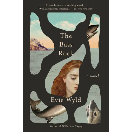 The Bass Rock - Paperback