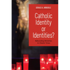 Catholic Identity or Identities?: Refounding Ministries in Chaotic Times - Paperback