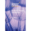 Business Model Innovation - Paperback