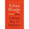 A Bright Ray of Darkness - Paperback