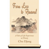 From Loss to Renewal: A Tale of Life Experience at Ninety - Paperback