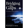 Bridging the Gaps: An Anthology on Nuclear Cold Fusion - Hardcover