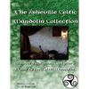The Asheville Celtic Mandolin Collection: Standard Notation, Tablature and Chords for the Celtic Mandolin - Paperback