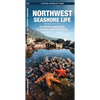 Northwest Seashore Life, 2nd Ed: A Folding Pocket Guide to Familiar Animals & Plants - Paperback
