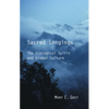 Sacred Longings: The Ecological Spirit and Global Culture - Paperback