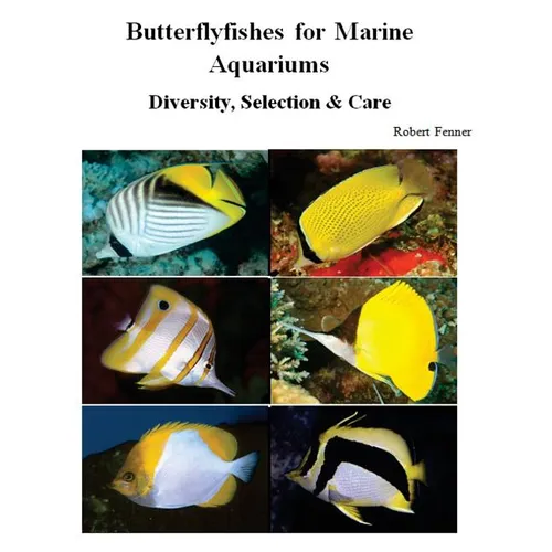 Butterflyfishes for Marine Aquariums: Diversity, Selection & Care - Paperback
