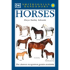 Horses - Paperback