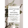 Adaptation and Natural Selection: A Critique of Some Current Evolutionary Thought - Paperback
