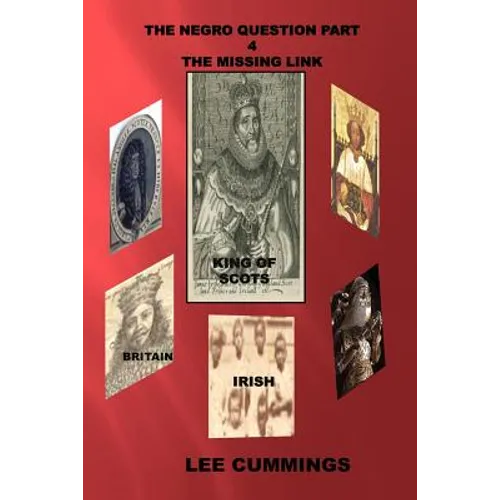 The Negro Question Part 4 the Missing Link - Paperback