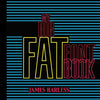 My Big Fat Font Book - Paperback