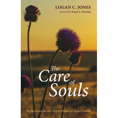 The Care of Souls: Reflections on the Art of Pastoral Supervision - Paperback