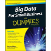 Big Data for Small Business for Dummies - Paperback