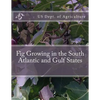 Fig Growing in the South Atlantic and Gulf States - Paperback