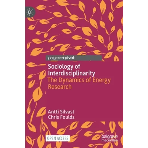 Sociology of Interdisciplinarity: The Dynamics of Energy Research - Hardcover