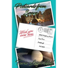 Postcards from Space - Paperback