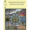 A Range-Wide Restoration Strategy for Whitebark Pine (Pinus Albicaulis) - Paperback