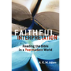 Faithful Interpretation: Reading the Bible in a Postmodern World - Paperback
