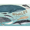 Whales: An Illustrated Celebration - Hardcover