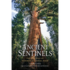 Ancient Sentinels: The Sequoias of Yosemite National Park - Paperback