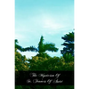 The Mysticism Of St. Francis Of Assisi - Paperback