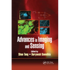 Advances in Imaging and Sensing - Paperback
