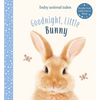 Goodnight, Little Bunny: A Board Book - Hardcover