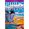 Birds of Oregon - Paperback