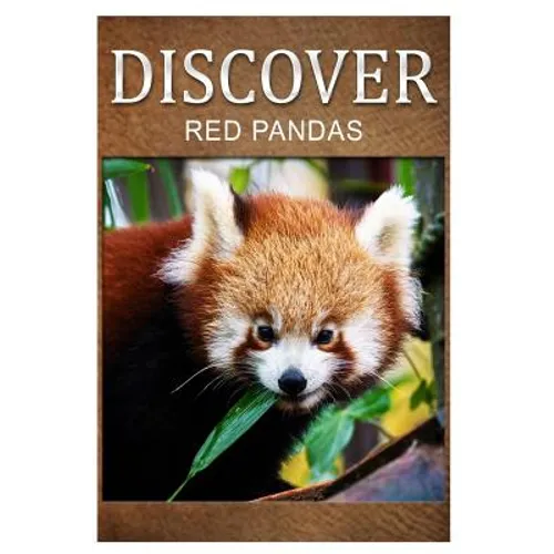 Red Pandas - Discover: Early reader's wildlife photography book - Paperback