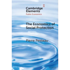 The Economics of Social Protection - Paperback