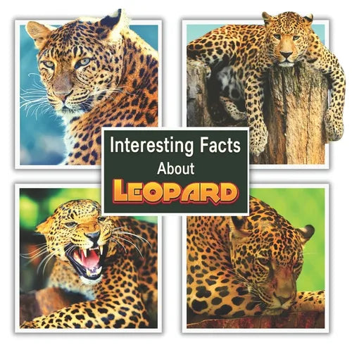 Interesting Facts About Leopard - Paperback