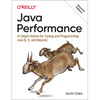 Java Performance: In-Depth Advice for Tuning and Programming Java 8, 11, and Beyond - Paperback