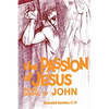 The Passion of Jesus in the Gospel of John: Volume 4 - Paperback