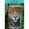 Jaguars - Paperback