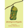 Starving in a Chrysalis - Paperback
