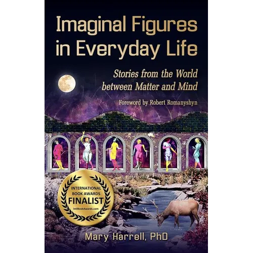 Imaginal Figures In Everyday Life: Stories from The World Between Matter And Mind - Paperback