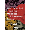 Marx, Capital, and the Madness of Economic Reason - Hardcover