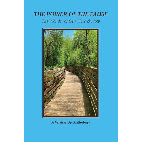 The Power of the Pause: The Wonder of Our Here & Now - Paperback