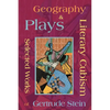 Literary Cubism - Geography & Plays - Selected Works of Gertrude Stein - Paperback