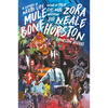 Mule Bone: A Comedy of Negro Life - Paperback