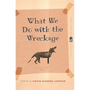 What We Do with the Wreckage: Stories - Paperback