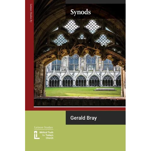 Synods - Paperback