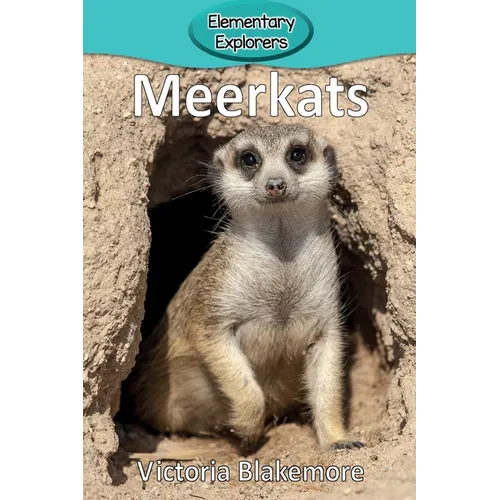 Meerkats - Paperback